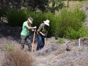 Forest Restoration Annual Reports