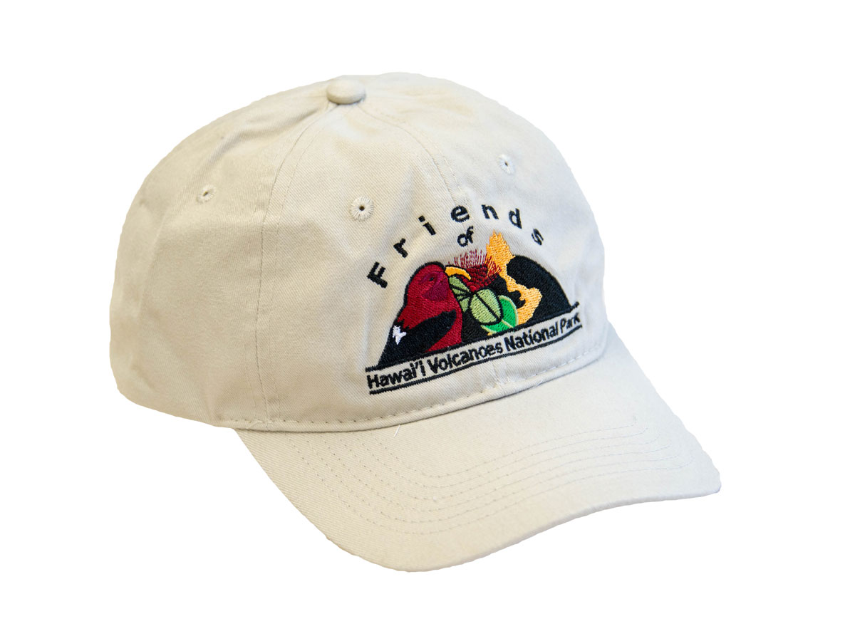 Friends logo ball cap