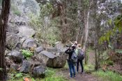 Giant boulders fell in landslides triggered by strong earthquakes in 1983