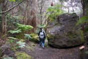 A boulder from 1983 landslides caused by earthquakes
