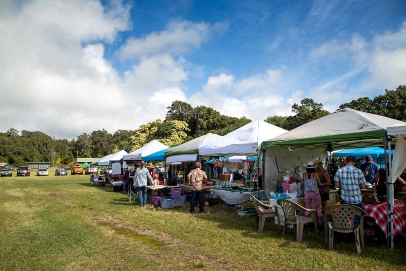 Holidays at Kahuku