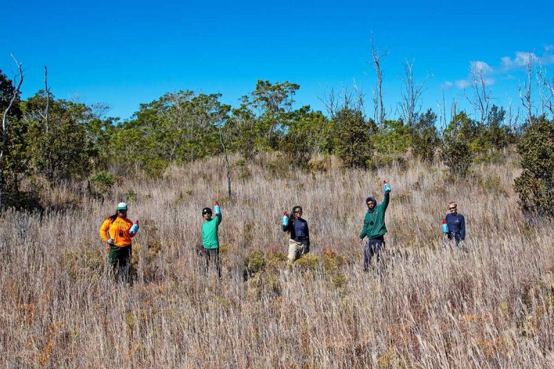 Youth in the field. Photo by Janice Wei