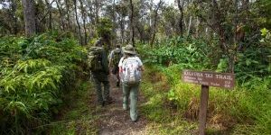 Hikers on Kīlauea Iki Trail - Photo by Janice Wei