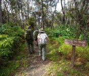 Hikers on Kīlauea Iki Trail - Photo by Janice Wei Hikers on Kīlauea Iki Trail - Photo by Janice Wei
