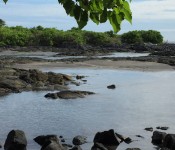 Backpacking pics from Halape and Keauhou - Photo by David Lowman Backpacking pics from Halape and Keauhou