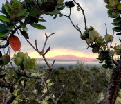 Photo taken from Crater Rim Trail by Arlene Buklarewicz Photo taken from Crater Rim Trail by Arlene Buklarewicz