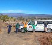 Youth at Mauna Loa worksite – showing off their new van.  Left to right, Jade Hathaway, Jyron Young, Emma Tunison, Liam Fien and Marilou Manatan.  Photo by Janice Wei Youth at Mauna Loa worksite – showing off their new van. Left to right, Jade Hathaway, Jyron Young, Emma Tunison, Liam Fien and Marilou Manatan. Photo by Janice Wei