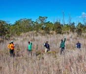Youth in the field.  Photo by Janice Wei Youth in the field. Photo by Janice Wei
